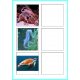 Ocean Animals Word to Picture Matching Activity